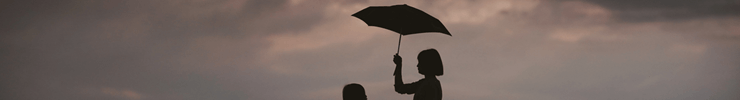 Proprietary Risk Analysis